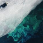 Satellite Captures Svalbard Bear Island’s Rare Cloud Formations and Algal Bloom