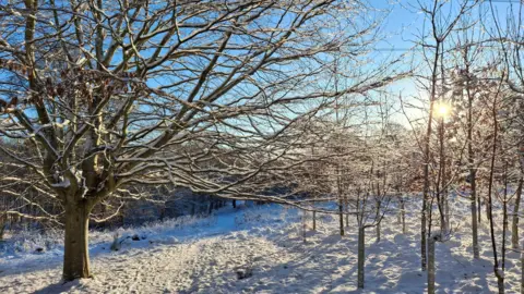 BBC Weather Watchers/Mattylockers The sun shines on trees in a snowy woodland