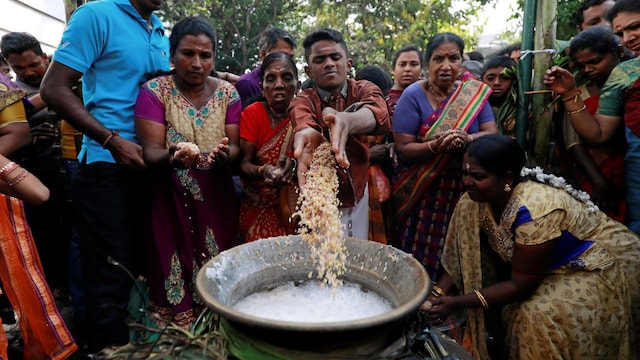 2. Pongal | Pongal, one of the most significant Hindu festivals in South India, especially Tamil Nadu, will be celebrated from January 14 to January 17. The four-day celebration honours the Sun God and sees families coming together to decorate their houses with 'rangoli' and offering the traditional Pongal dish made from newly harvested rice to the Sun God.