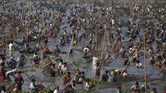 5. Bhogali Bihu | The term refers to ‘feasting’ in Assamese. This occasion coincides with Pongal and Makar Sankranti celebrations across several states.  In Assam, villagers participate in fishing with nets in community events at lakes on the eve of Bhogali Bihu festival. The annual festival marks the end of the winter harvesting season. (Image: Reuters)