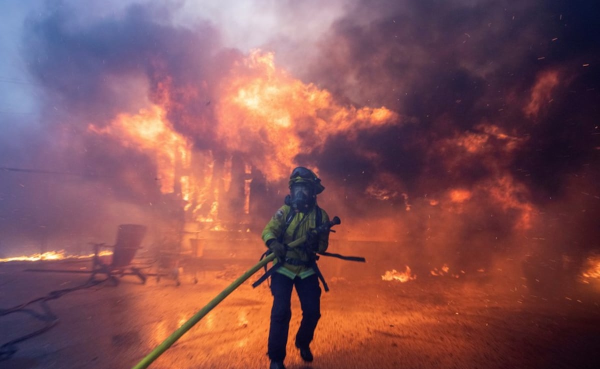 Fire burns during a windstorm on the west side of Los Angeles.