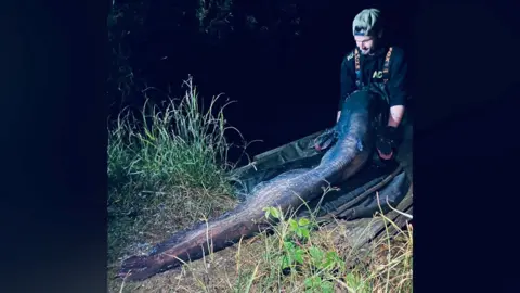 Chloe Ing Shaun Ing, holding a 150lb catfish by the side of a lake. He is wearing a black T-shirt with waders, and a baseball cap on his head turned backwards.