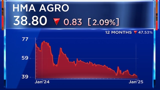 HMA Agro Industries | Shares of recently listed HMA Agro Industries have declined 53% in 2024. The exporter of frozen buffalo meat products made its Dalal Street debut in July 2023 and saw its market valuation surging to ₹4,206 crore in December 2023.