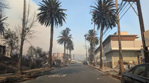 Lucy Sherriff / BBC A street in LA with palm trees surrounded by burnt buildings and unburnt buildings