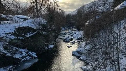 An icy stream runs past snow-covered banks and trees