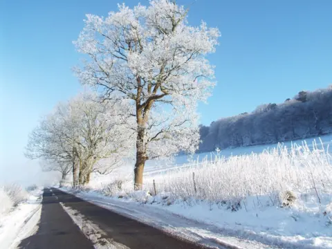 BBC Weather Watchers/Absie A lane beside a field covered in snow and trees with snow covered branches