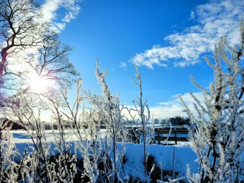 BBC Weather Watchers/yorkshireTed Branches covered in snow in front of a field also covered in snow