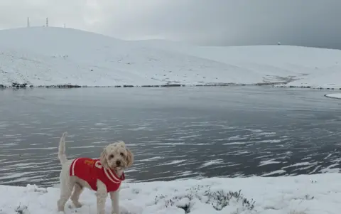 BBC Weather Watchers/Eoin_p A white cockerpoo wearing a red coat standing on a snowy path beside a frozen lake