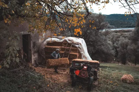 Martha Padovani A farmer moves a bail of hay