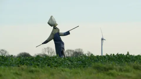 Nathan Sowerby A scarecrow in a field in front of a wind turbine