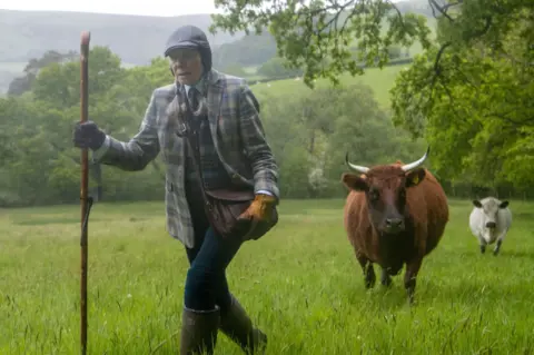 Luke Jones A farmer walks in front of her cattle