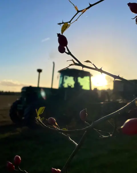 Sally Renner A tractor with the sun behind