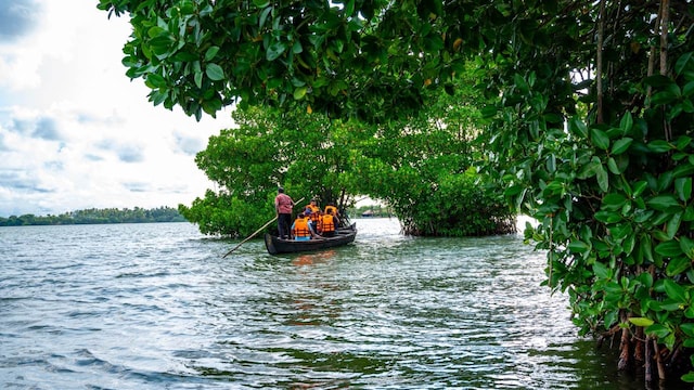 No 2. Place: Munroe Island | Located in the Kollam district, Munroe Island is perfect for those seeking a peaceful retreat from the hustle and bustle of city life. This charming island is known for its scenic backwaters, lush greenery, and rich cultural heritage. The canoe tour through the narrow and stunningly beautiful palm tree is a popular activity on Munroe Island. (Image: Shutterstock)