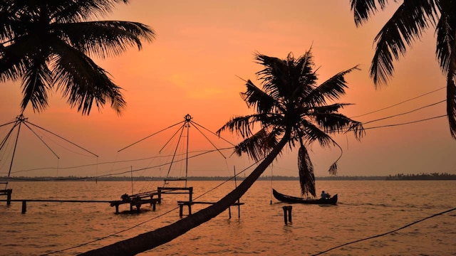 No 8. Kumbalangi: Known for its backwater and rural tourism activities, Kumbalangi is a quiet, leafy island village in the Ernakulam district. The destination is perfect for those seeking a relaxing getaway and a glimpse into traditional Kerala life. The electric blue luminescence in Kumbalangi draws a lot of tourists from all parts of the world. The blue luminescence occurs especially during the summers when the water turns salty. (Image: Shutterstock)