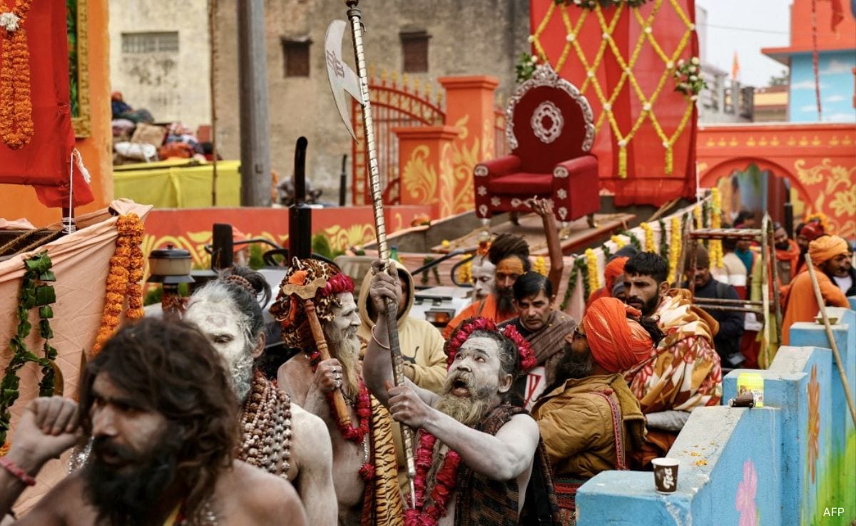 Sadhu take part in a religious procession ahead of Maha Kumbh