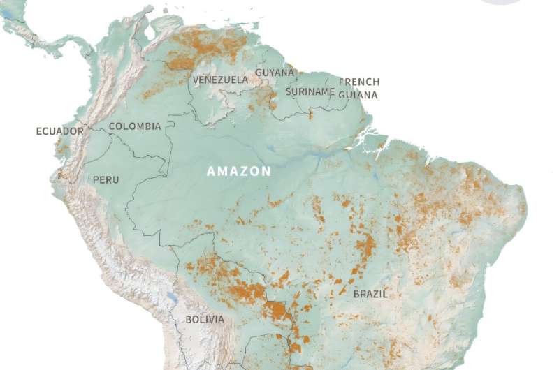 A year of fires in South America