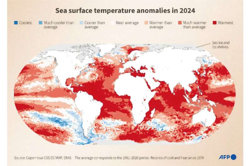 Sea surface temperature anomalies in 2024