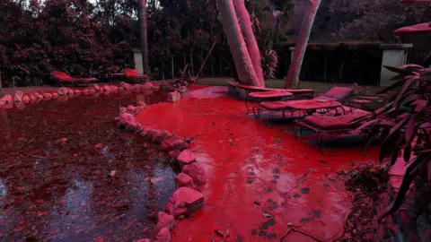 Getty Images Fire retardant covers a pool and lounge chairs after being dropped from a firefighting aircraft battling the Palisades Fire.