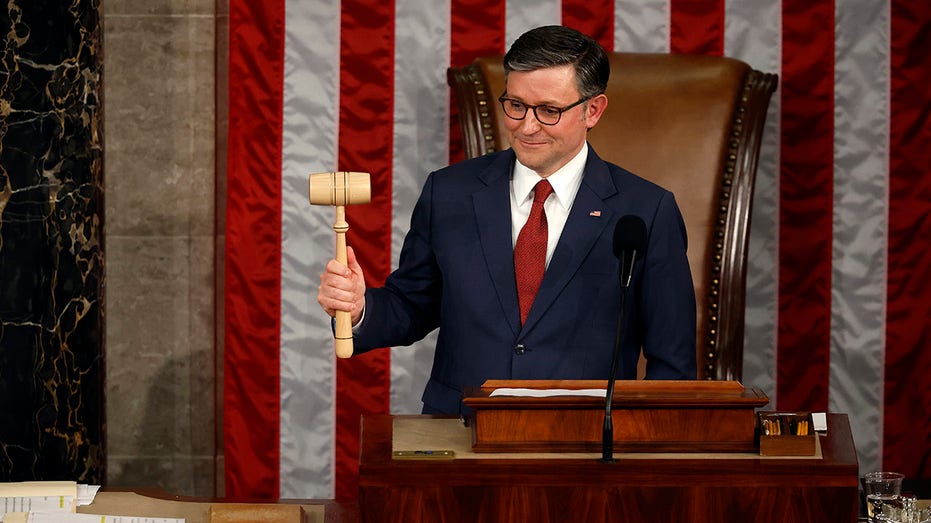 Johnson elected new House Speaker, holds gavel