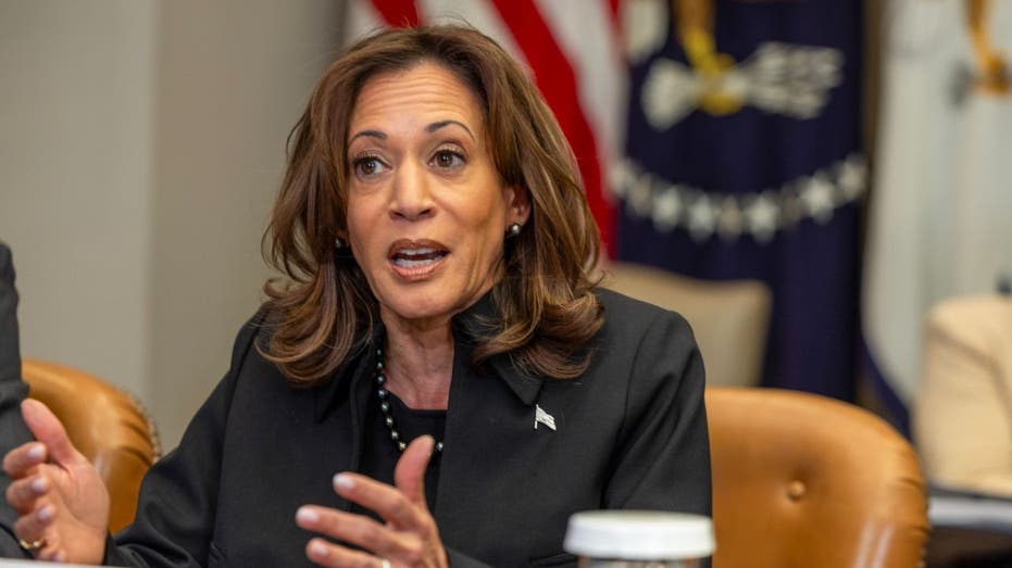 Kamala Harris during press conference