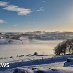 Your pictures of snow and frost across the UK