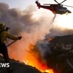 The celebrity Los Angeles area ravaged by wildfire