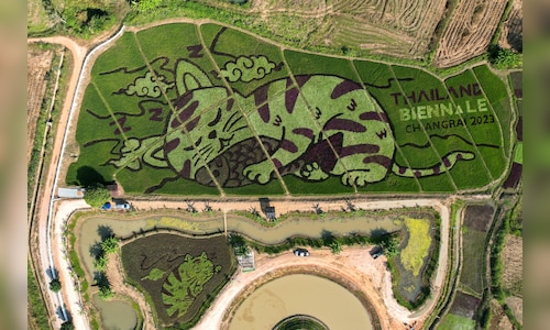 Thai farmer transforms rice paddies into tribute to flood victims with vibrant designs