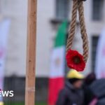 Iran reportedly executed at least 901 people in 2024, UN says