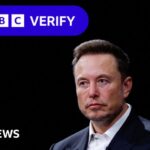 How Elon Musk seized on baseless memo claim to create wave of misinformation