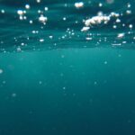 New Study Uncovers Vital Ocean Processes for Carbon Storage and Climate Regulation