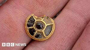 King’s Lynn detectorist unearths warrior’s gold scabbard stud