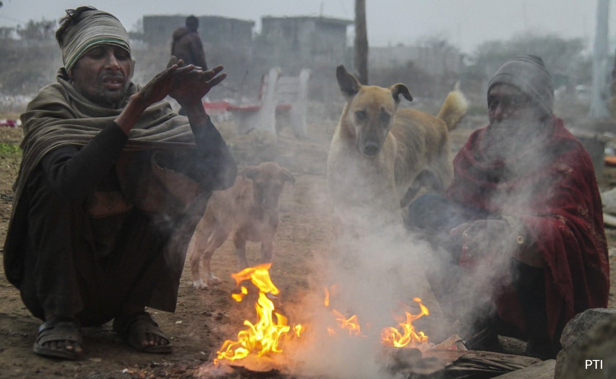 Delhi Temperature Drops To 6.4 Degrees, City Battles Cold Wave, Dense Fog