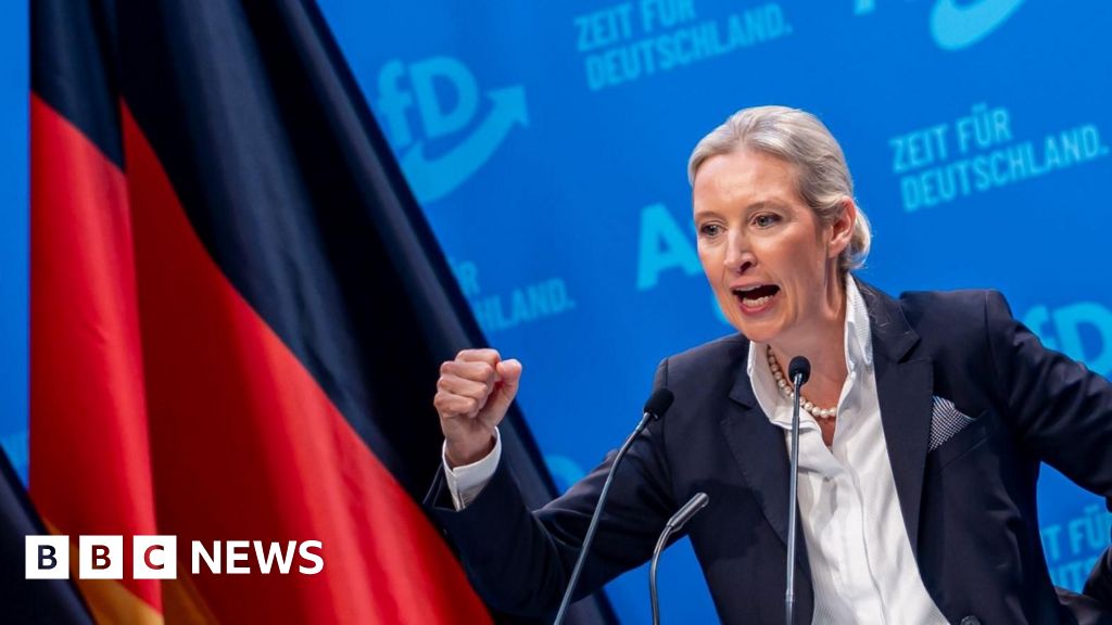 AfD embraces repatriation of migrants as election nears