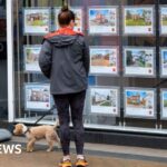 Stamp duty changes will motivate buyers, says the Halifax