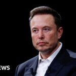 Elon Musk looms large over UK politics as MPs return for 2025