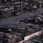 Devastating Los Angeles Fires Prompt 2028 Olympics Debate