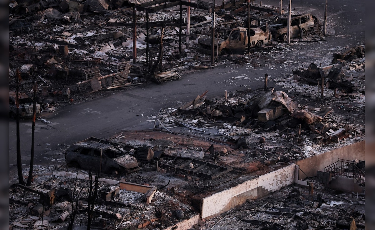 Devastating Los Angeles Fires Prompt 2028 Olympics Debate