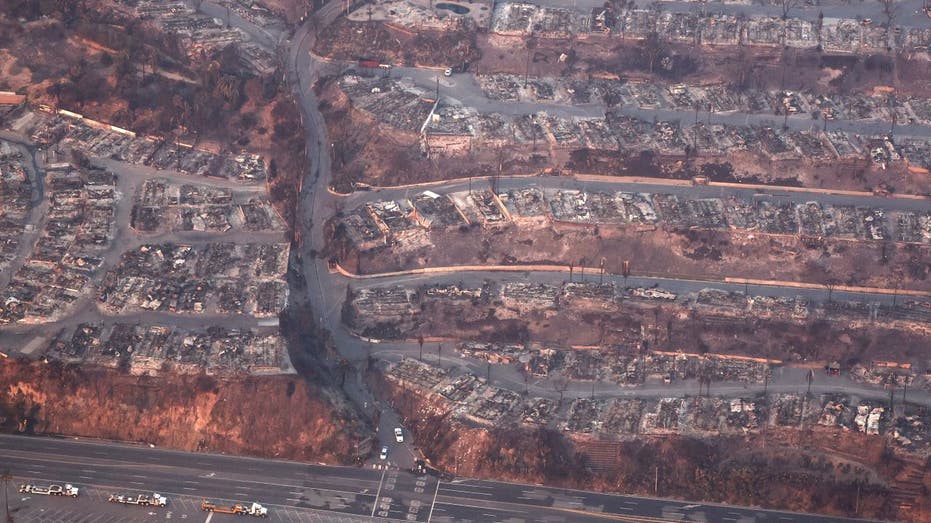 Pacific Palisades fire damage