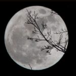 Wolf Moon on January 13, 2025: Explore What to Expect in the Sky