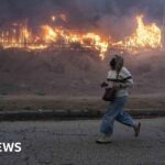 How wildfires tore through Los Angeles