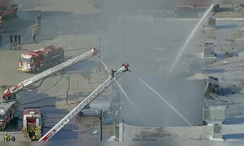 Fire at Dallas shopping center kills over 570 animals in pet shop, damages structure