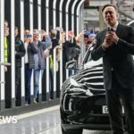 Musk provokes European leaders ahead of chat with German far-right leader