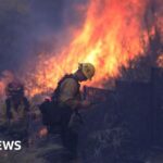 What role is it playing in the California fires