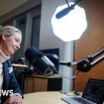 Musk interviews German far-right frontwoman Alice Weidel