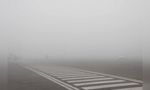 Thick fog engulfs Delhi NCR as cold wave continues, major travel disruptions expected