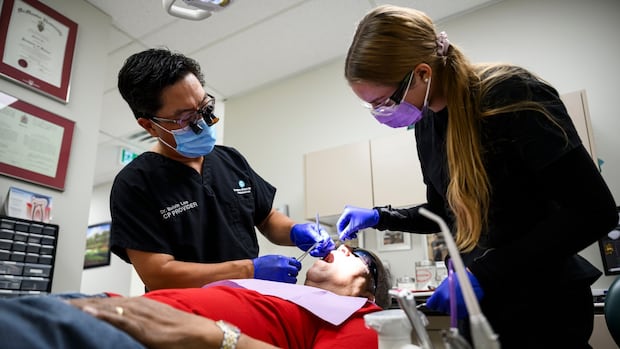 With clock ticking, future of Liberals’ dental and pharmacare programs uncertain