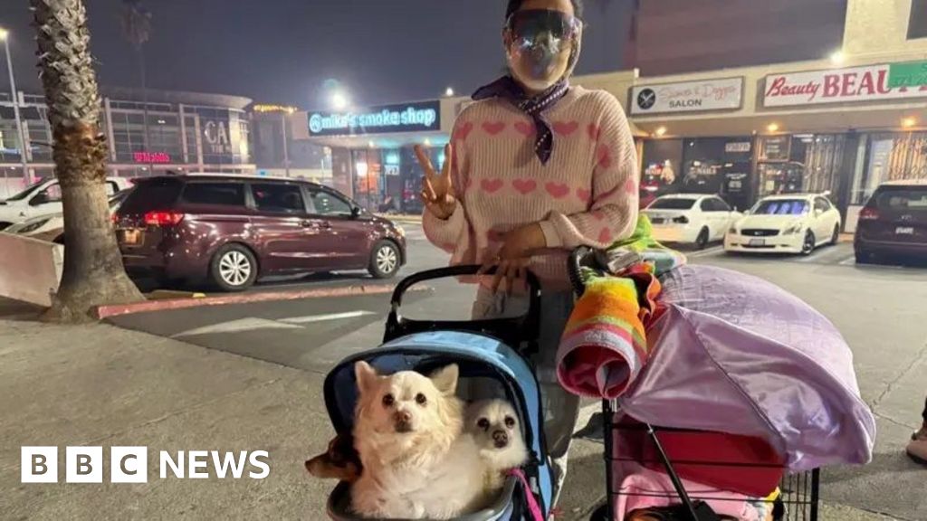 Fear and anxiety as people flee Hollywood fire