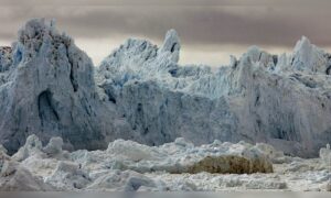 Trump wants to buy Greenland – It’s no Joke, this affects us all!