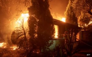 “No One Knew What To Do”: California Wildfire Sparks Evacuation