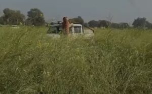 Tiger Jumps On Rajasthan Forest Officials Car Who Came To Rescue It